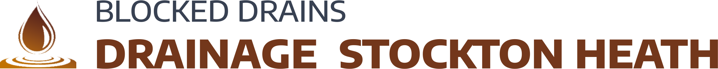 website logo